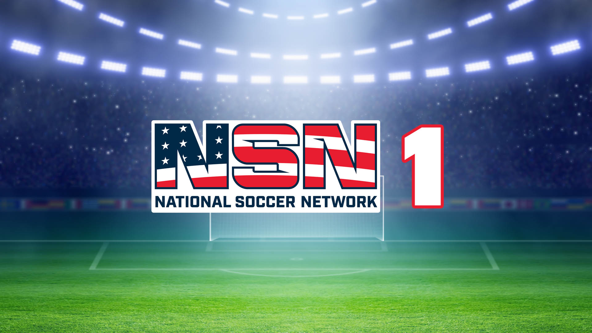 NSN 1